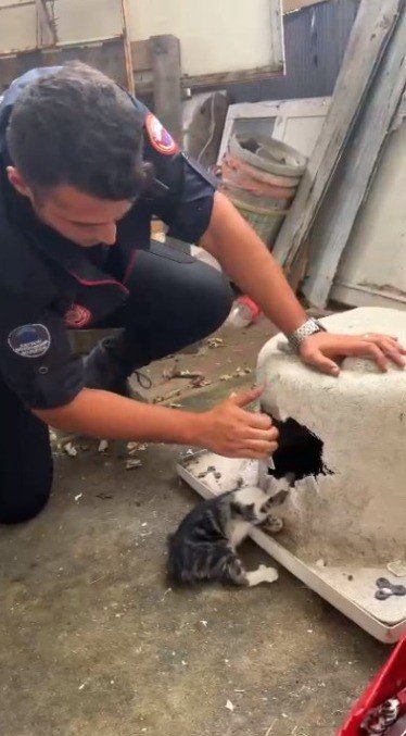 Kafası Küvete Sıkışan Kediyi İtfaiye Kurtardı