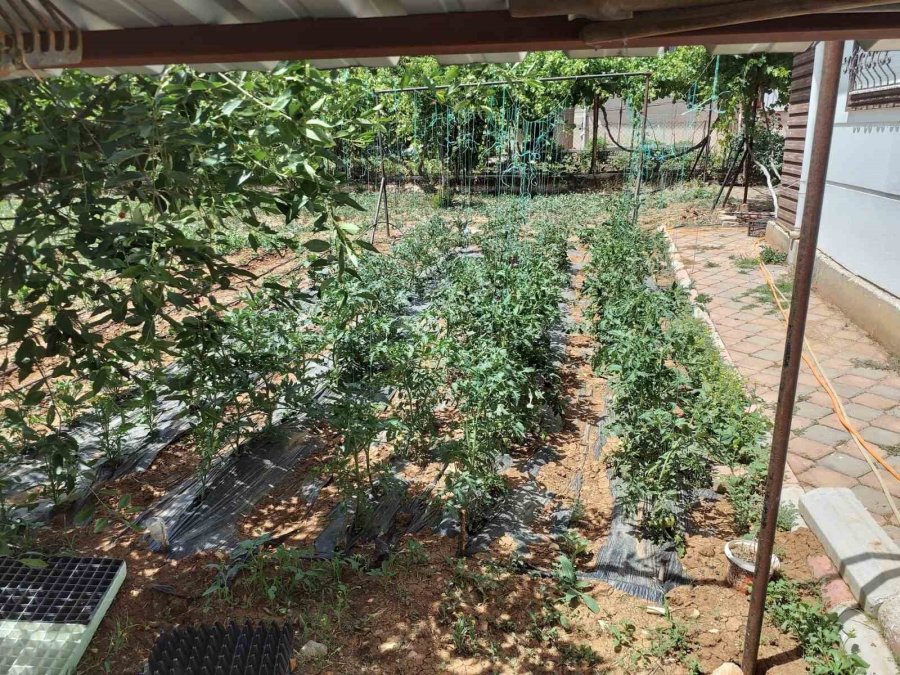 İçme Suyu İle Bahçe Sulayanların Abonelikleri İptal Ediliyor