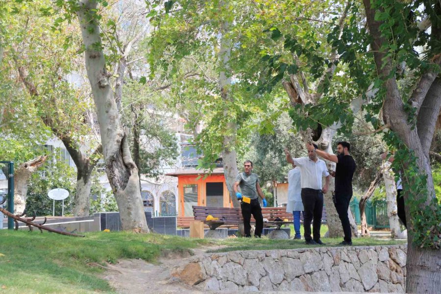 Kavga Ettikten Bir Saat Sonra Cesedi Bulundu, Yaşadığı Park Mezarı Oldu