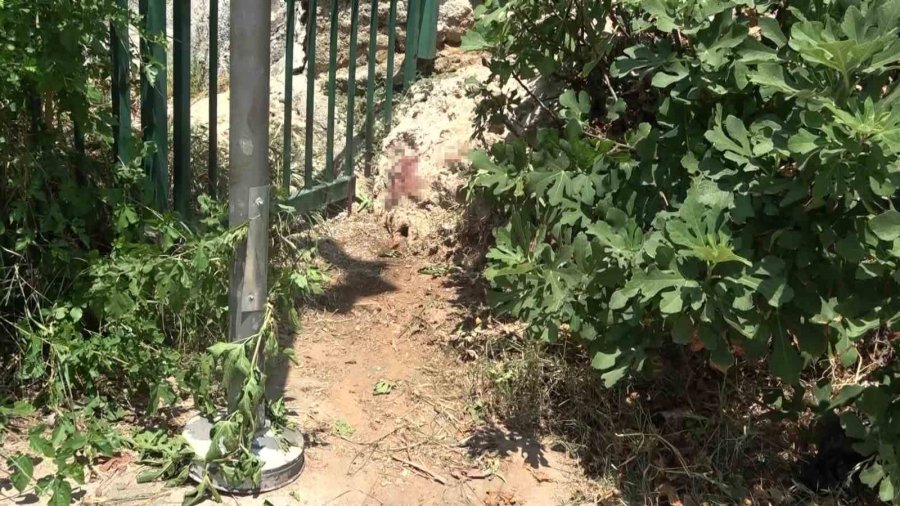Kavga Ettikten Bir Saat Sonra Cesedi Bulundu, Yaşadığı Park Mezarı Oldu