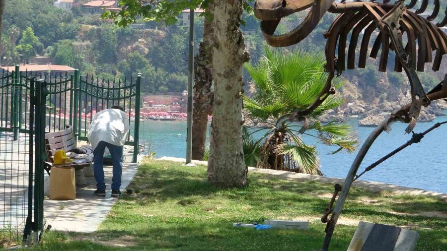 Kavga Ettikten Bir Saat Sonra Cesedi Bulundu, Yaşadığı Park Mezarı Oldu