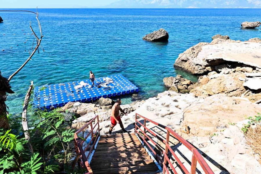 Muratpaşa Belediyesi, Bambus’u Halka Açmak İçin Çalışıyor