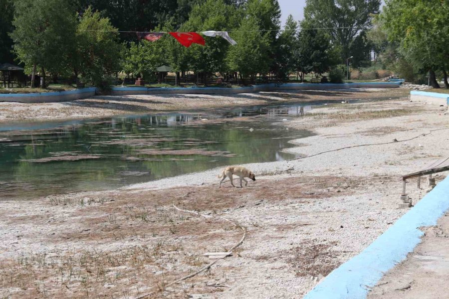 Sakarya Nehri’nin Doğduğu Sakaryabaşı’nda Sular Çekildi