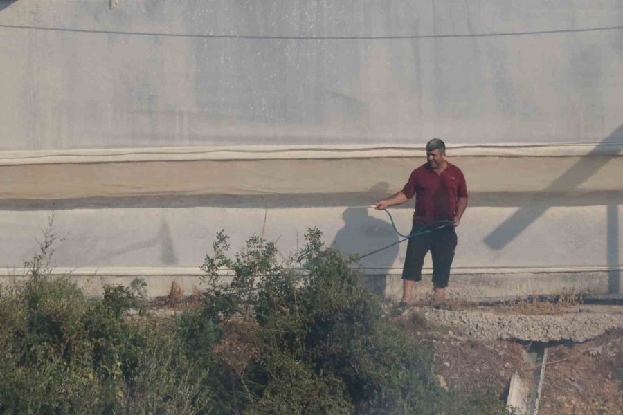 Antalya’da Çıkan Yangın Seraları Ve Ormanlık Alanı Etkiledi