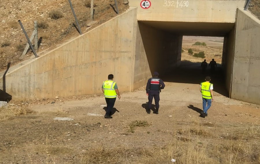 Jandarma Orman Yangınlarına Dair 3 Bin 258 Vatandaşı Bilinçlendirdi