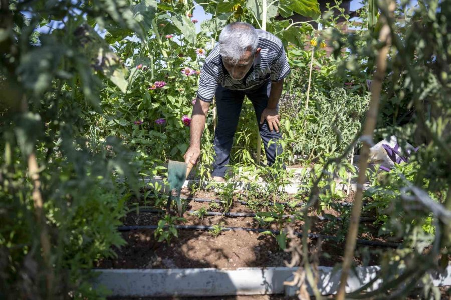 Hobi Parkı, Mersinlilerin Uğrak Yeri Oldu