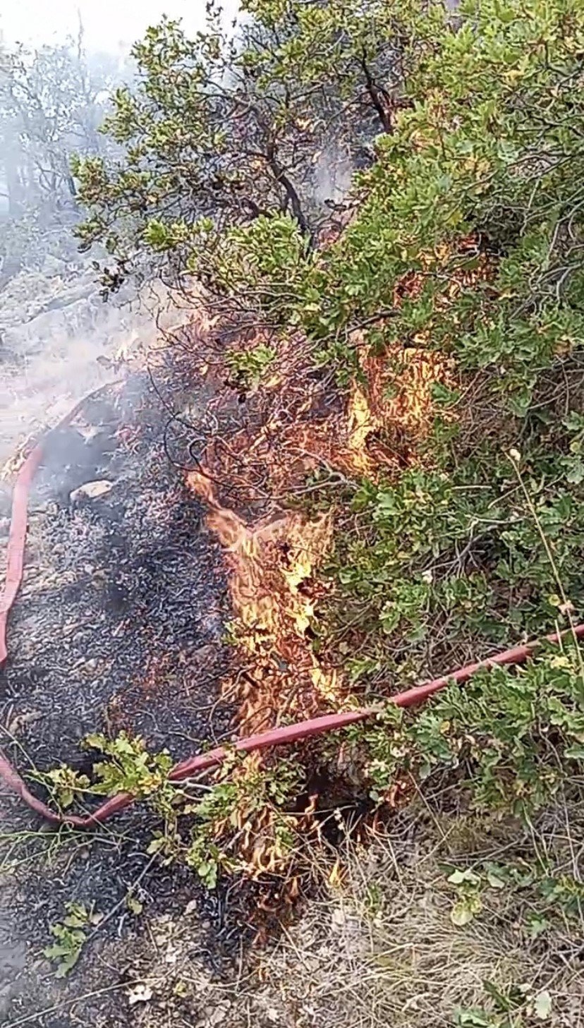 Aksaray’da Anız Yangını Ormanlık Alana Sıçradı