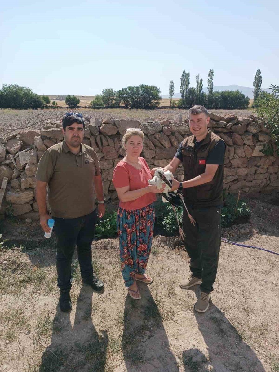 Yaralı Leylek Bakıma Alındı