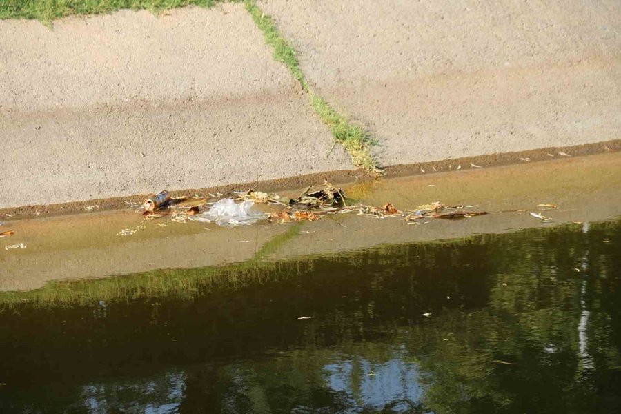 Porsuk Çayı’nda Tedirgin Eden Görüntü
