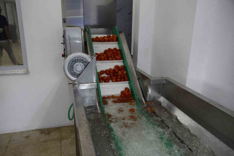 Kumluca Yaş Sebze Meyve Kurutma Ve Paketleme Tesisi İle Kayıplar En Aza İniyor