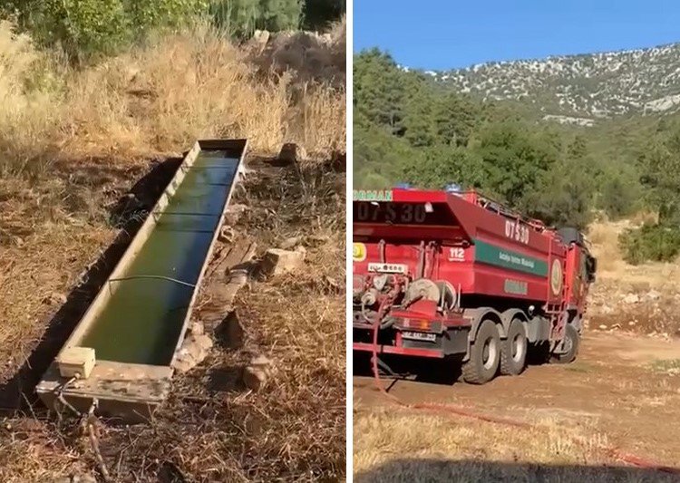 Antalya’da Sıcak Havandan Etkilenen Yaban Hayvanlarına Can Suyu
