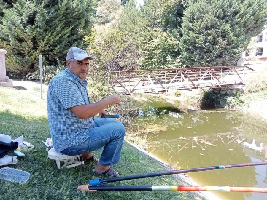 Kanlıkavak Park’ındaki Eski Köprü Vatandaşları Endişelendiriyor