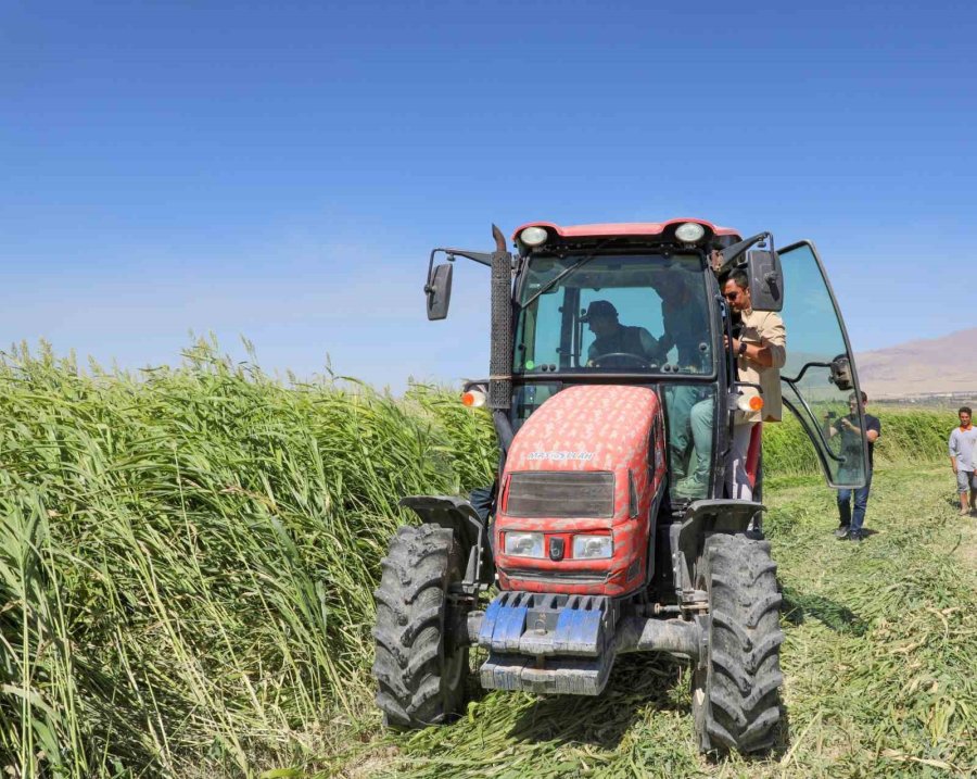 Niğde’de Sorgum-sudan Otunun Hasadı Yapıldı