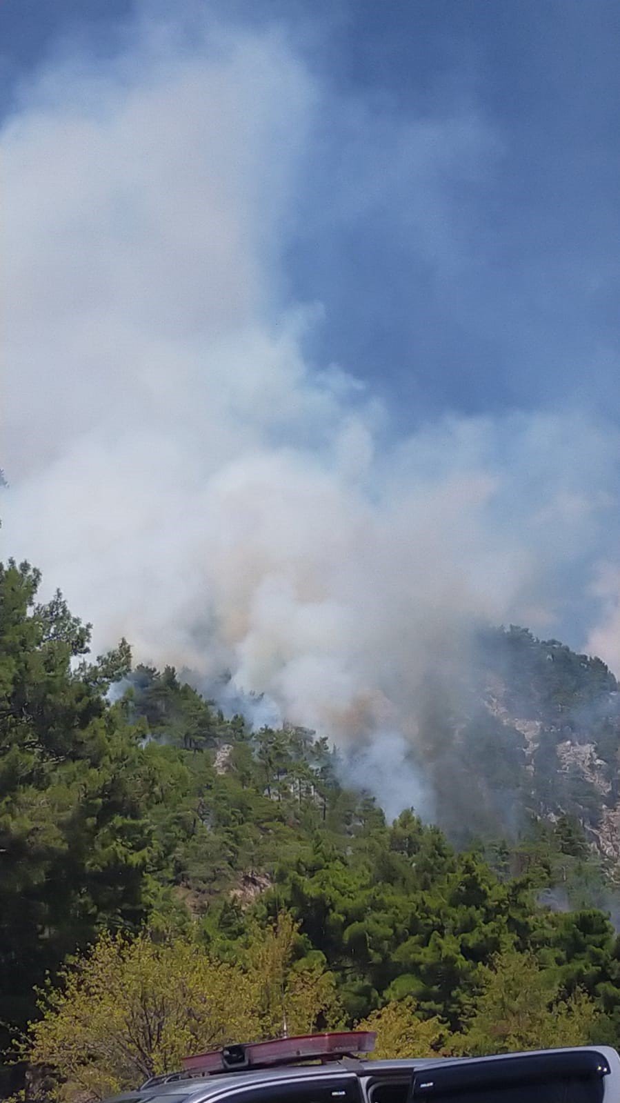 Kumluca’da Orman Yangını