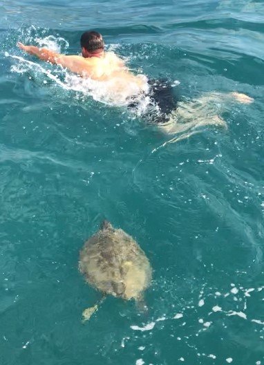 Alanya’da Denizde Şaşırtan Karşılaşma: Dev Carretta Caretta İle 1,5 Saat Yüzdüler