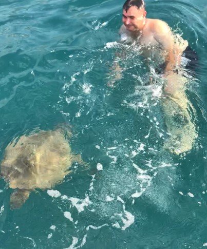 Alanya’da Denizde Şaşırtan Karşılaşma: Dev Carretta Caretta İle 1,5 Saat Yüzdüler