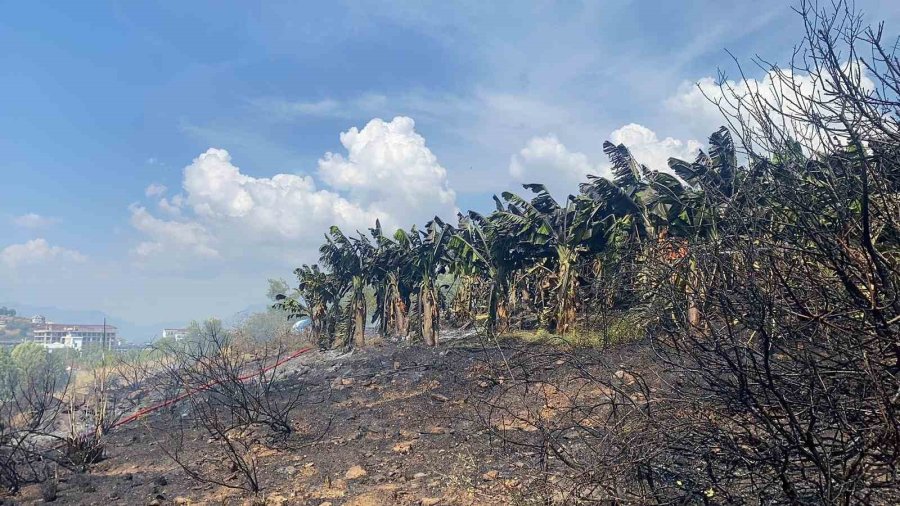 Okula Yakın Bölgede Çıkan Yangın Paniğe Neden Oldu