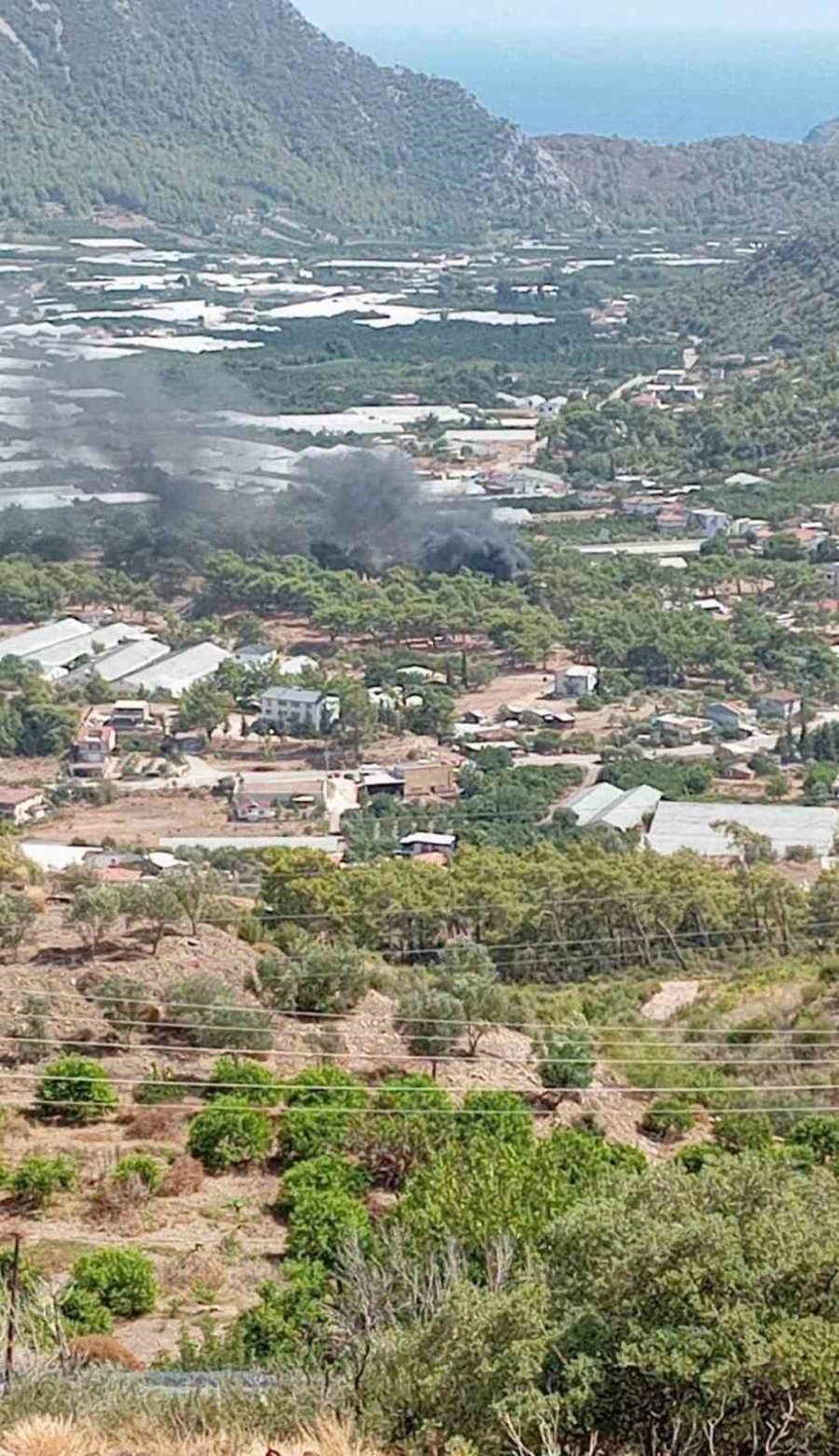 Park Halindeki Tur Minibüsü Alev Alev Yandı