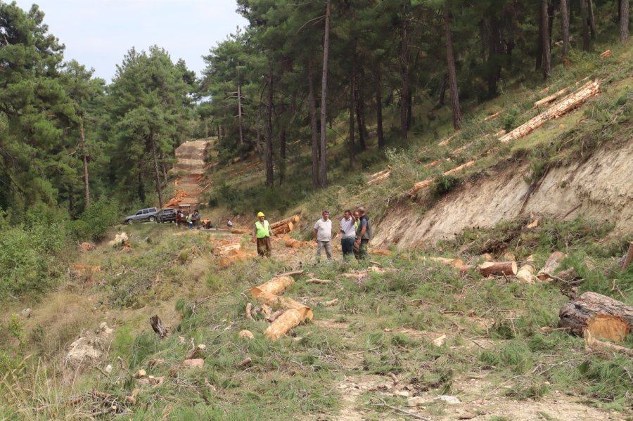 Bölge Müdürü Ataş, Tarsus’ta Ormancılık Faaliyetlerini İnceledi
