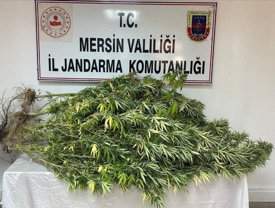 Mersin’de Uyuşturucu Tacirlerine Operasyon: 4 Gözaltı