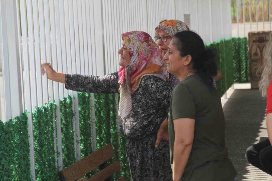Kazada Ölen Hemşire Kızının Cenazesini Alan Anne Yürekleri Dağladı: "yükümü Aldım Gidiyorum"