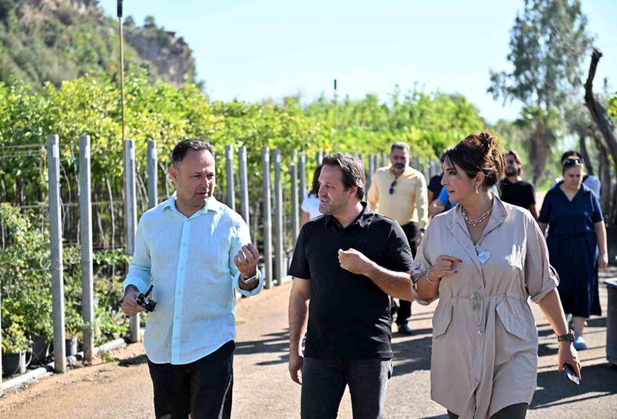 Rostov Belediyesi Bitki Üretiminde Muratpaşa’yı Örnek Alacak