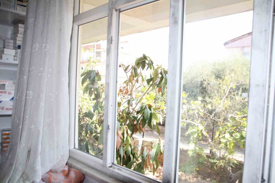 Eczaneye Girip Para Ve Kontrole Tabi İlaçlar Çalan Hırsız Kamerada