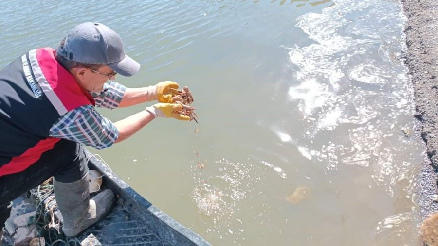Barajda 550 Metrelik Hayalet Ağ Ele Geçirildi