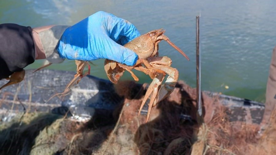 Barajda 550 Metrelik Hayalet Ağ Ele Geçirildi