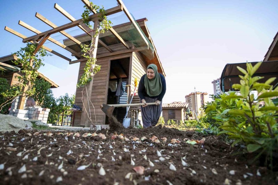 Hobi Parkı Kışa Hazırlanıyor