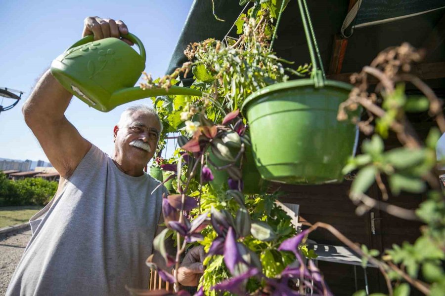 Hobi Parkı Kışa Hazırlanıyor