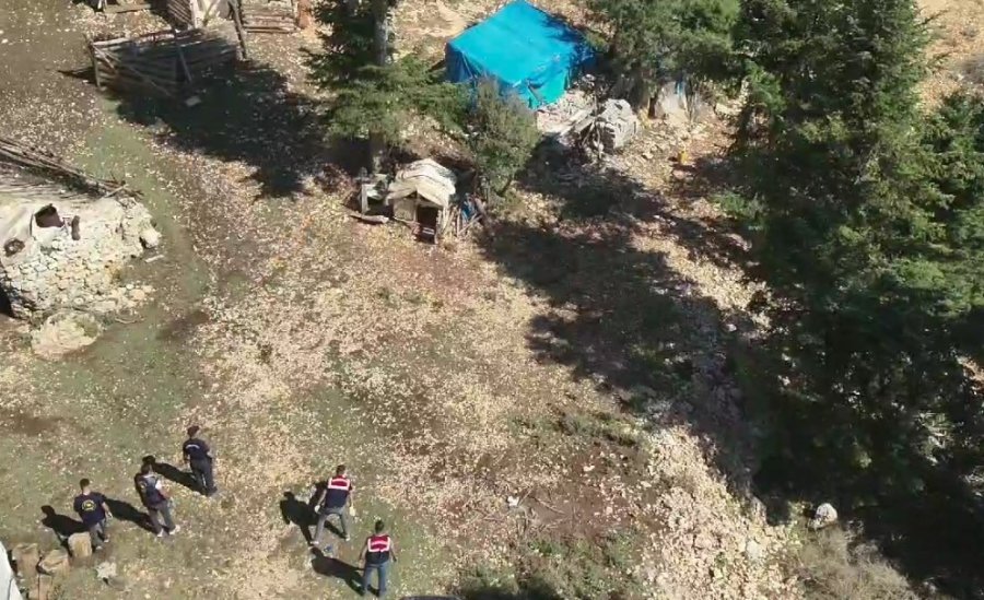 Ormanlık Alanda Uyuşturucu Yetiştiren Şüpheliler Suçüstü Yakalandı