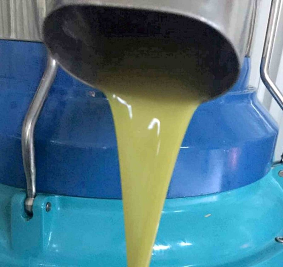 Başkan Murat Orhan’dan Erken Zeytin Hasadına Uyarısı