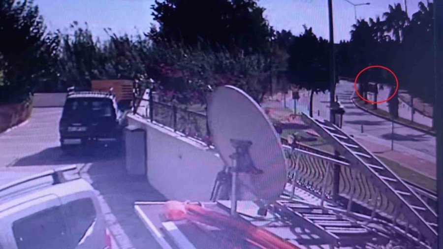 Virajı Alamayan Hafif Ticari Araç Palmiyeye Çarpıp Takla Attı: 3 Yaralı