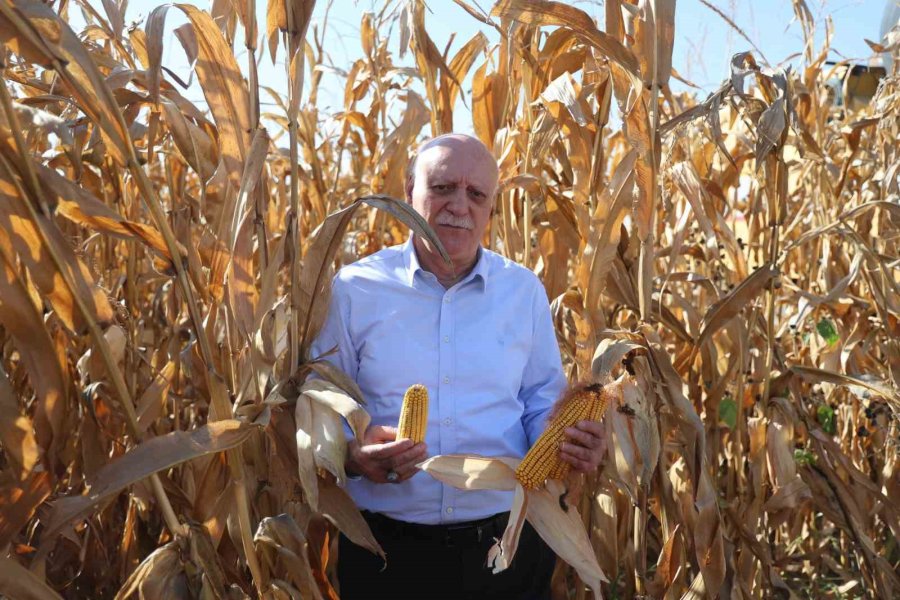 Tzob Başkanı Bayraktar, Dünya Gıda Günü’nde Konya’da Mısır Hasadına Katıldı