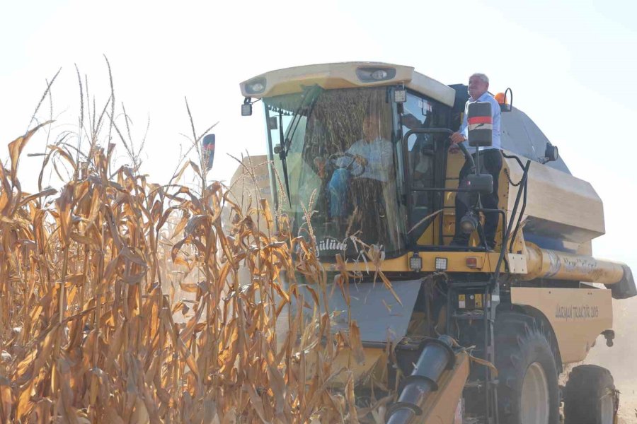 Tzob Başkanı Bayraktar, Dünya Gıda Günü’nde Konya’da Mısır Hasadına Katıldı