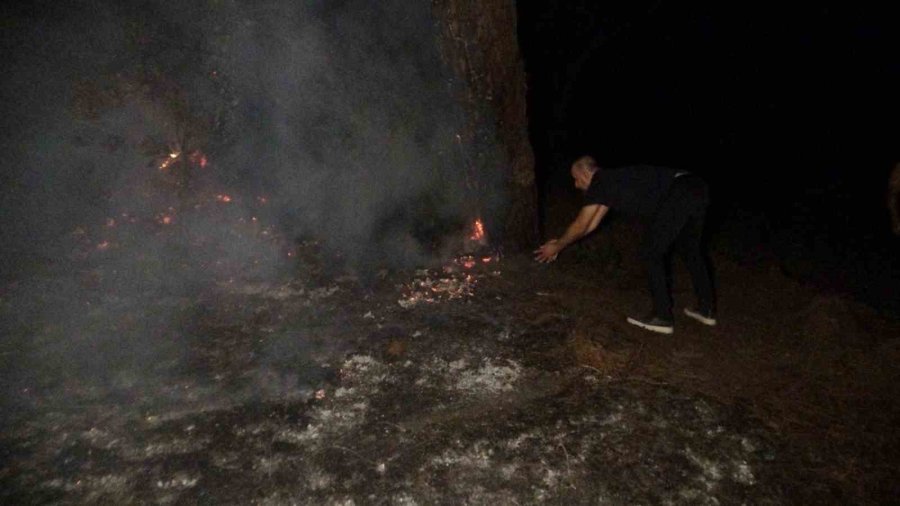 Manavgat’ta Korkutan Orman Yangını Büyümeden Söndürüldü