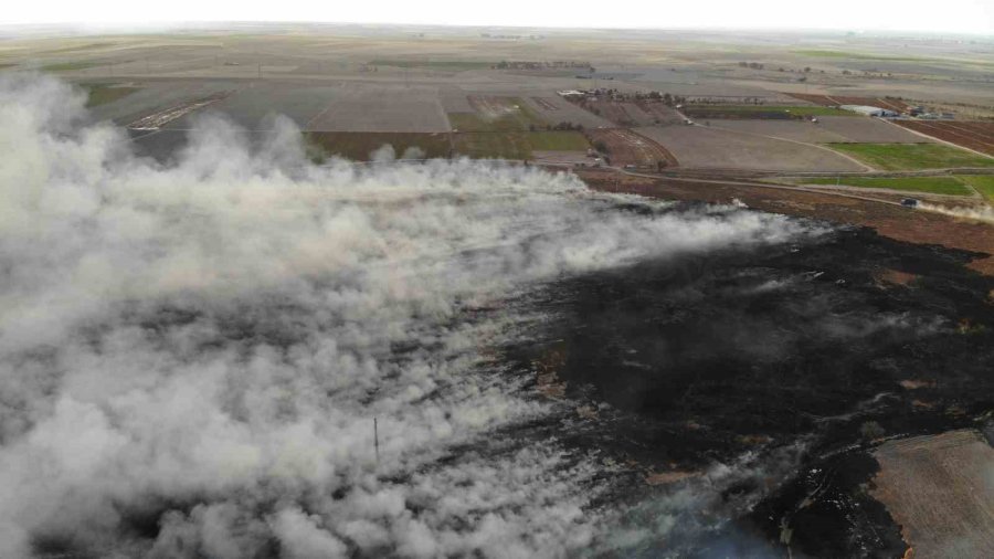 400 Dönümlük Mısır Tarlası Ve Merada Korkutan Yangın
