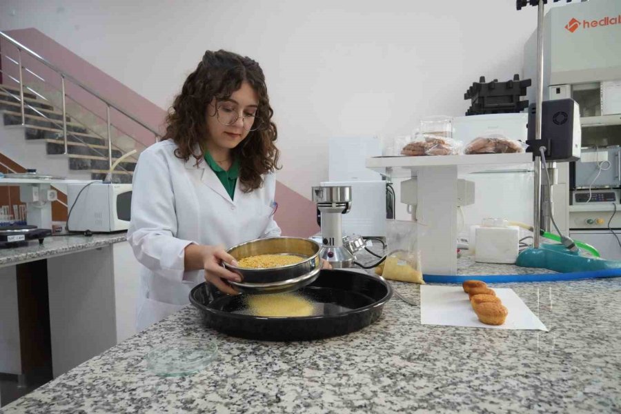 Üniversite Öğrencisi Termiyeden Glütensiz Kek Üretti