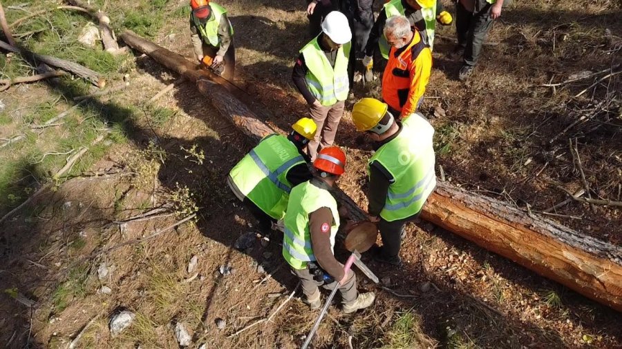Mersin Orman Bölge Müdürlüğünce Üretim Tatbikatı Yapıldı