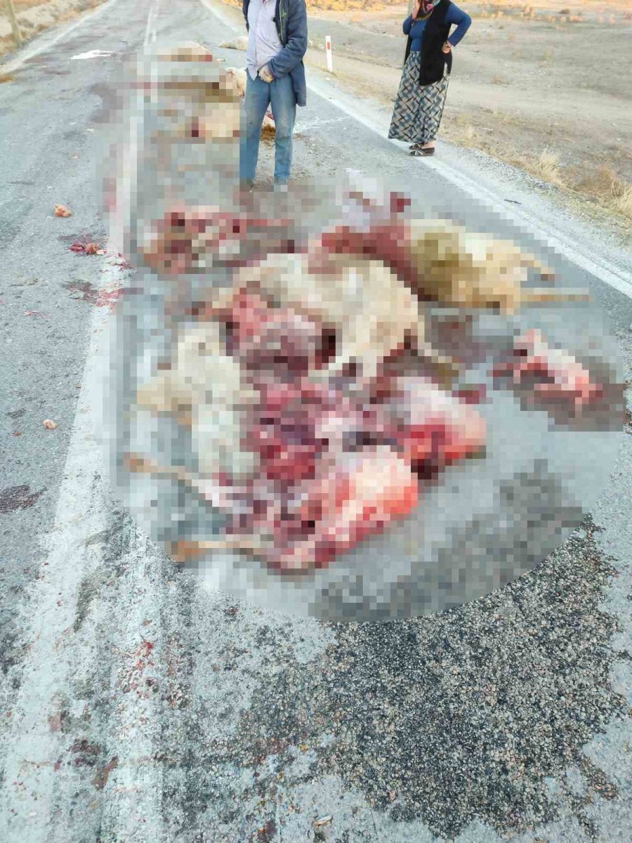 Hafriyat Kamyonu Sürüye Çarptı, 13 Koyun Telef Oldu