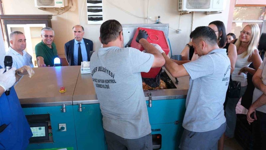 Kemer Belediyesi ‘can Dostlara’ Mama Üretiyor