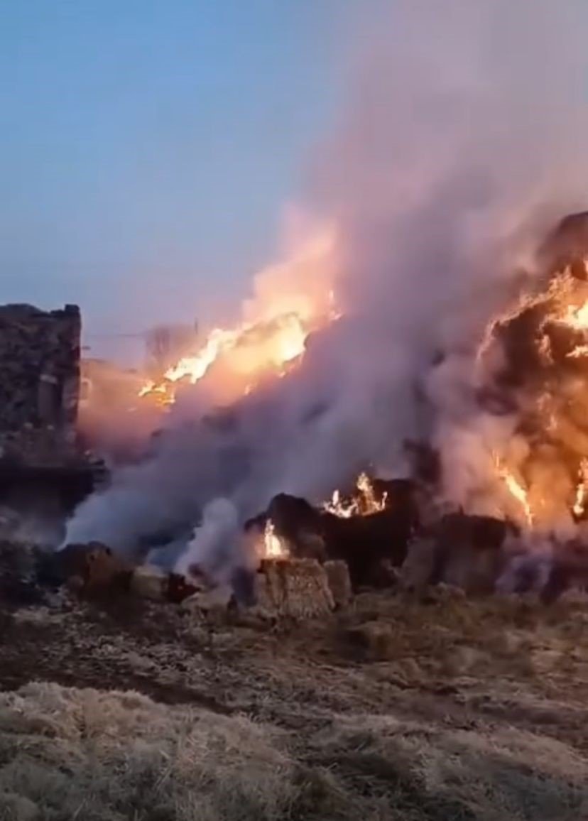 Konya’da 3 Bin Saman Balyası Kundaklandı