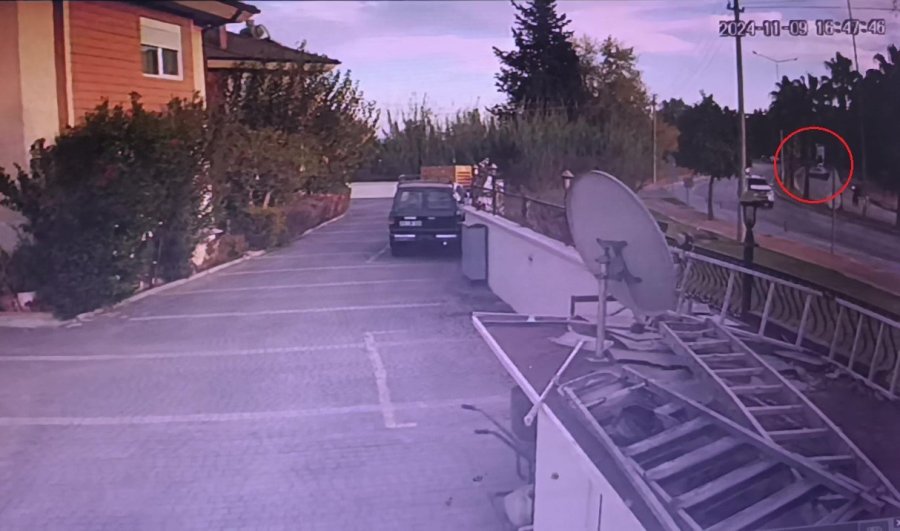 Kontrolden Çıkan Otomobil Palmiyeye Çarptı:1 Yaralı