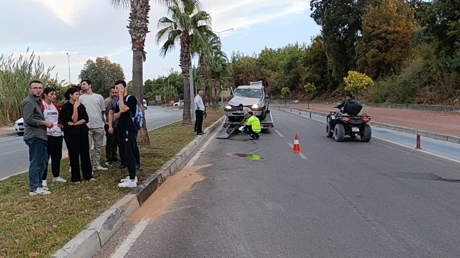 Kontrolden Çıkan Otomobil Palmiyeye Çarptı:1 Yaralı