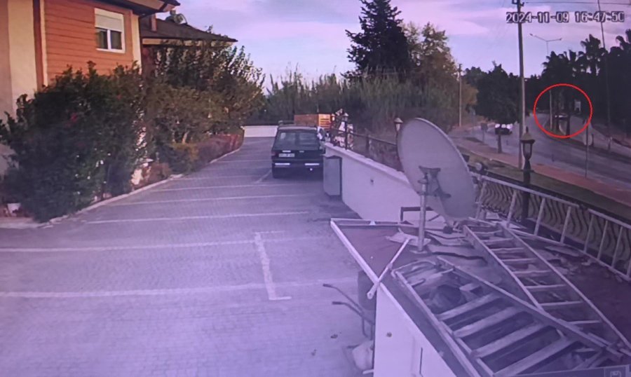 Kontrolden Çıkan Otomobil Palmiyeye Çarptı:1 Yaralı