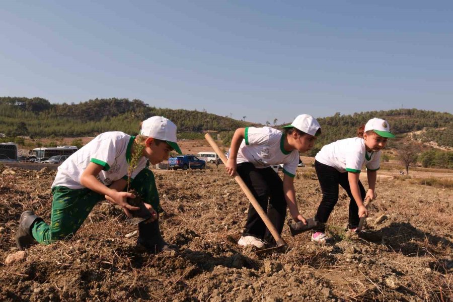 Mersin’de ’milli Ağaçlandırma Günü’nde 22 Bin Fidan Toprakla Buluştu