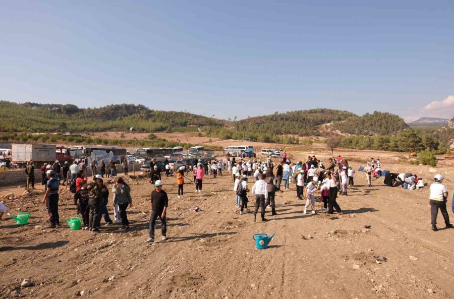 Mersin’de ’milli Ağaçlandırma Günü’nde 22 Bin Fidan Toprakla Buluştu
