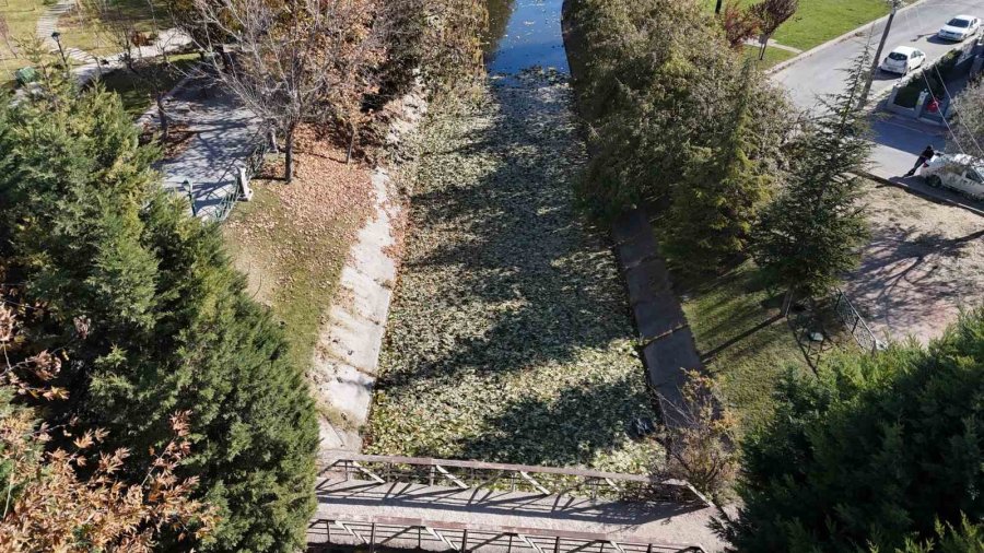 Sonbaharda Dökülen Yapraklar Porsuk Çayı Yüzeyini Kapladı