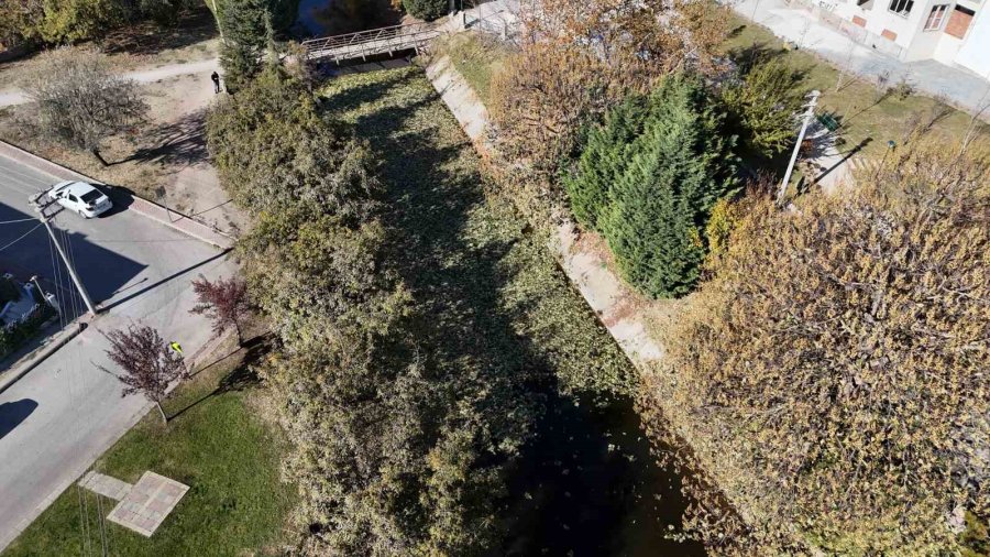 Sonbaharda Dökülen Yapraklar Porsuk Çayı Yüzeyini Kapladı